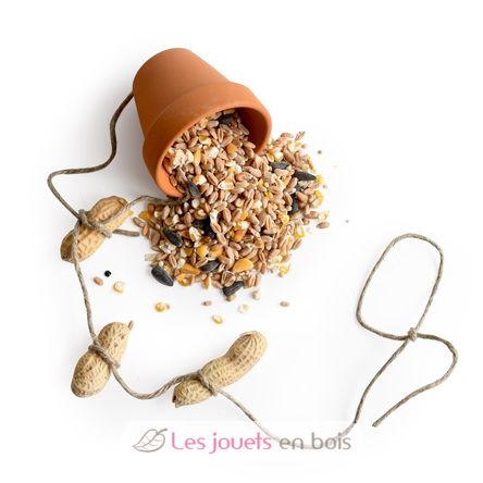 10 comederos para pájaros para crear RC-143194 Radis et Capucine 3