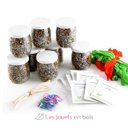 Cultivando el pelo del Sr. Césped RC-143193 Radis et Capucine 3