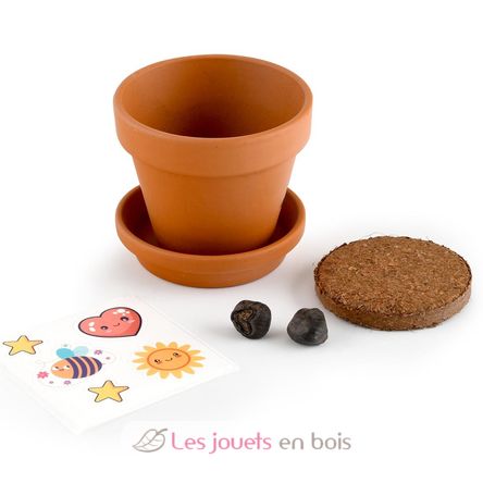 Cultivo mi plátano RC-014265 Radis et Capucine 4