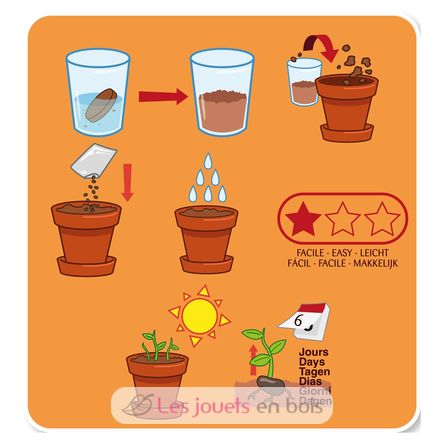 Cultivo mi judía gigante RC-140967 Radis et Capucine 3