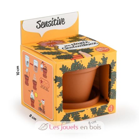 Je fais pousser mon Mimosa pudica RC-025965 Radis et Capucine 6