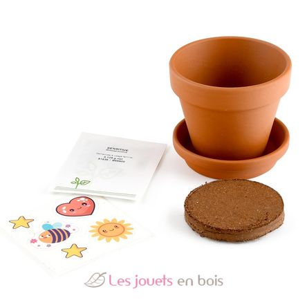 Je fais pousser mon Mimosa pudica RC-025965 Radis et Capucine 4