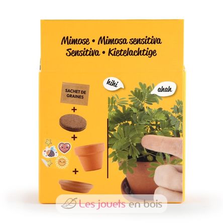 Je fais pousser mon Mimosa pudica RC-025965 Radis et Capucine 5