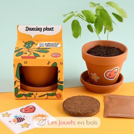 Cultivo mi planta de baile RC-028733 Radis et Capucine 3