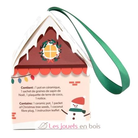 Mi árbol de Navidad para cultivar RC-143304 Radis et Capucine 2