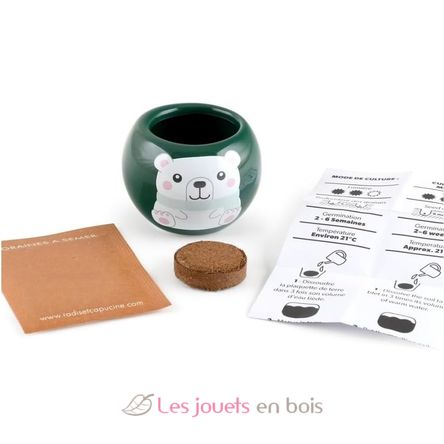 Mi árbol de Navidad para cultivar RC-143304 Radis et Capucine 3