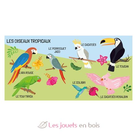 Libro y puzle Las aves SJ-329331 Sassi Junior 4