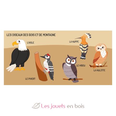 Libro y puzle Las aves SJ-329331 Sassi Junior 5