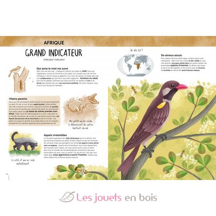 Atlas de la Biodiversidad - Animales insólitos y curiosos SJ-4086 Sassi Junior 3