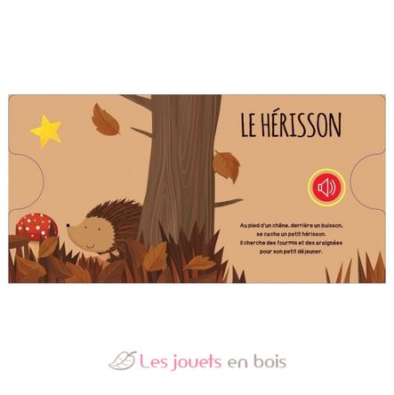 Libro sonoro El Bosque SJ-3569 Sassi Junior 3