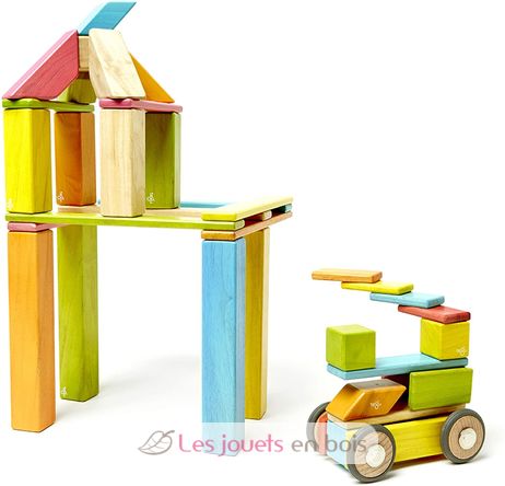 Juego de 42 piezas Tints Bloques magneticos de madera Tegu