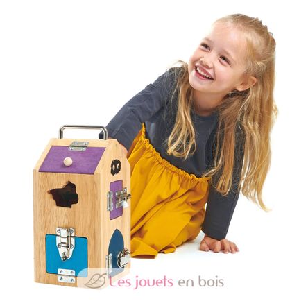 Caja de seguridad Monstruos TL8341 Tender Leaf Toys 4