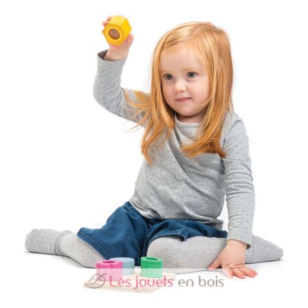 Formas visuales TL8405 Tender Leaf Toys 2