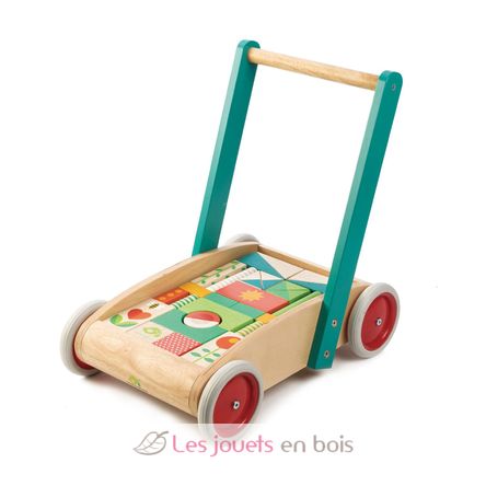 Carro de paseo con bloques de colores TL8464 Tender Leaf Toys 4
