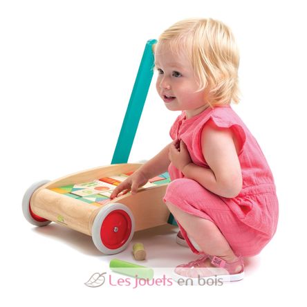 Carro de paseo con bloques de colores TL8464 Tender Leaf Toys 5