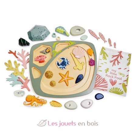 Mi pequeña piscina de rocas TL8486 Tender Leaf Toys 2