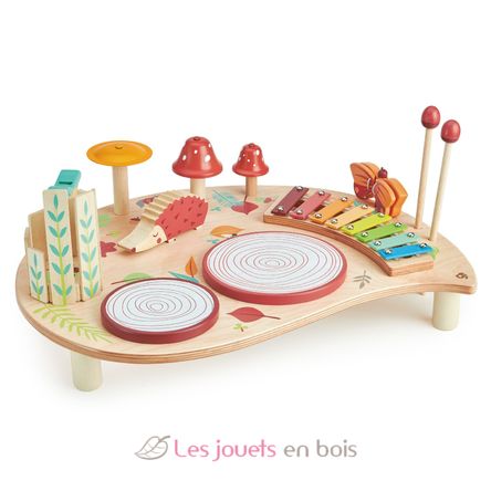 Mesa musical TL8655 Tender Leaf Toys 3