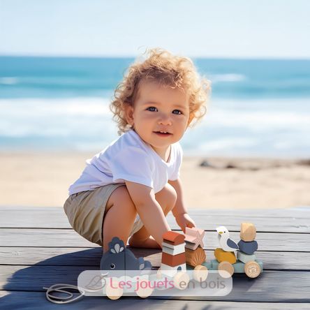 Tren apilable del océano SM-SP1052 Speedy Monkey 2