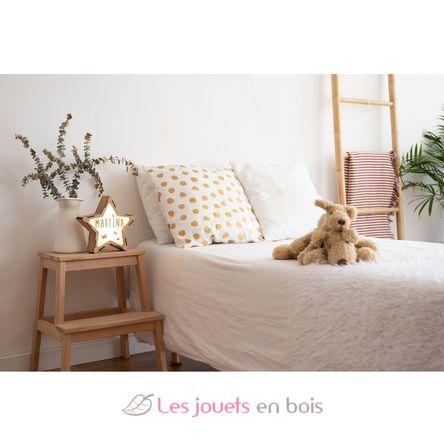 Estrella luminosa personalizable de madera VI-ES14USBC Vintiun 3