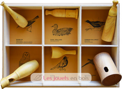 Caja de 6 cantos de pájaros - Western American Birds QBC-WesternAmerican Quelle est Belle Company 1